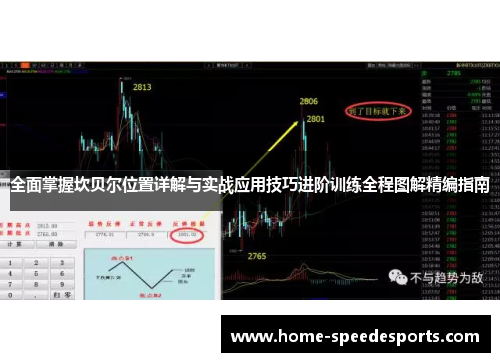 全面掌握坎贝尔位置详解与实战应用技巧进阶训练全程图解精编指南